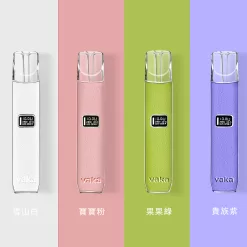 VAKA一代皮革主機