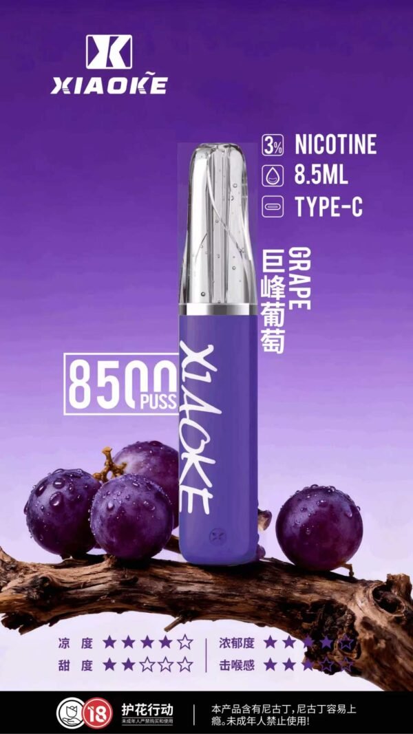 xiaoke梟客拋棄式8500口口紅款💄